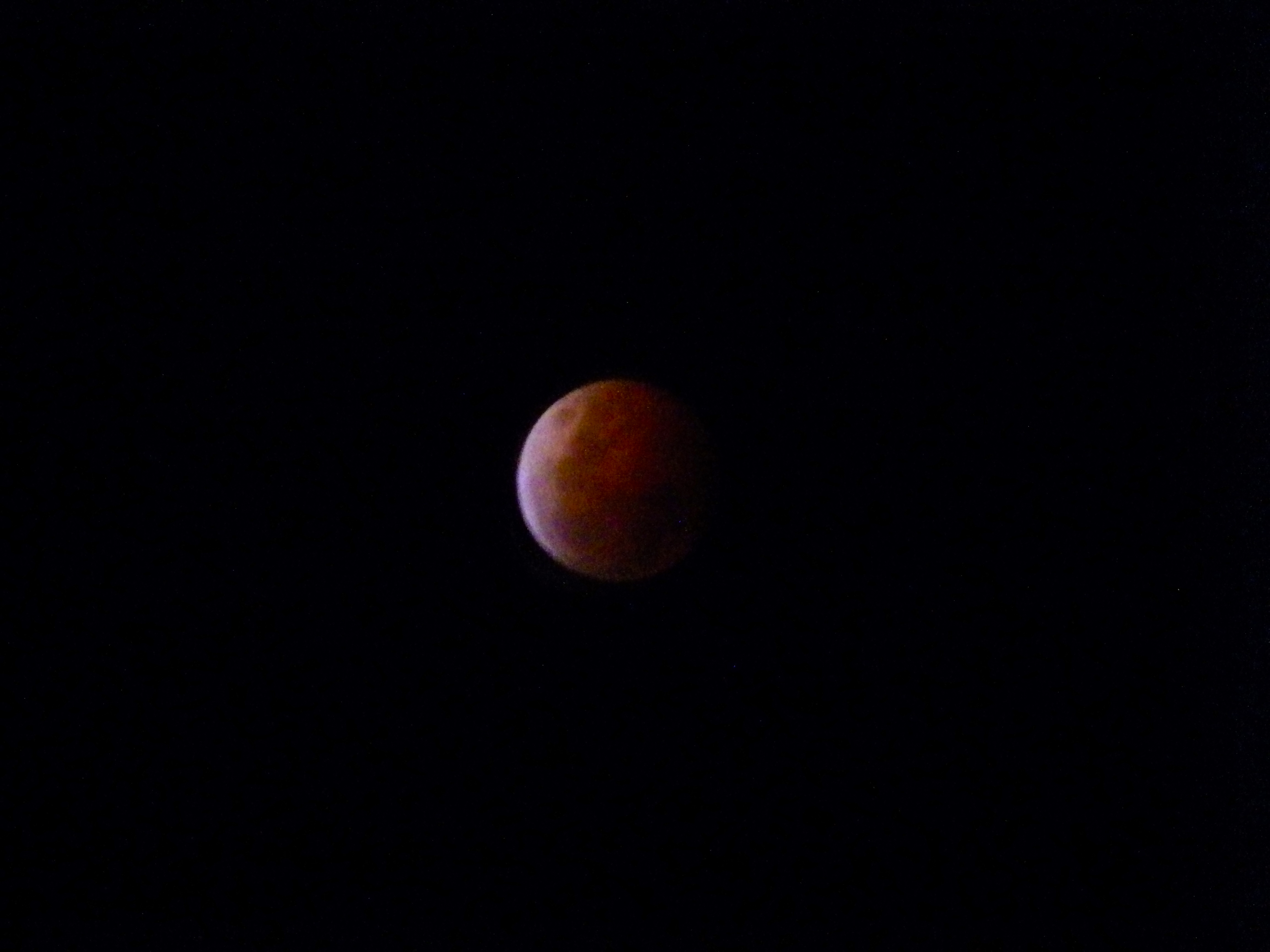 Blood Moon